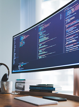 Desarrollo de Software